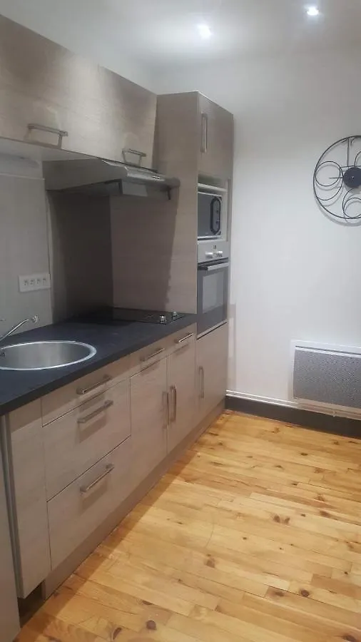 Apartment Studio Dans Centre Historique Le Puy-en-Velay France